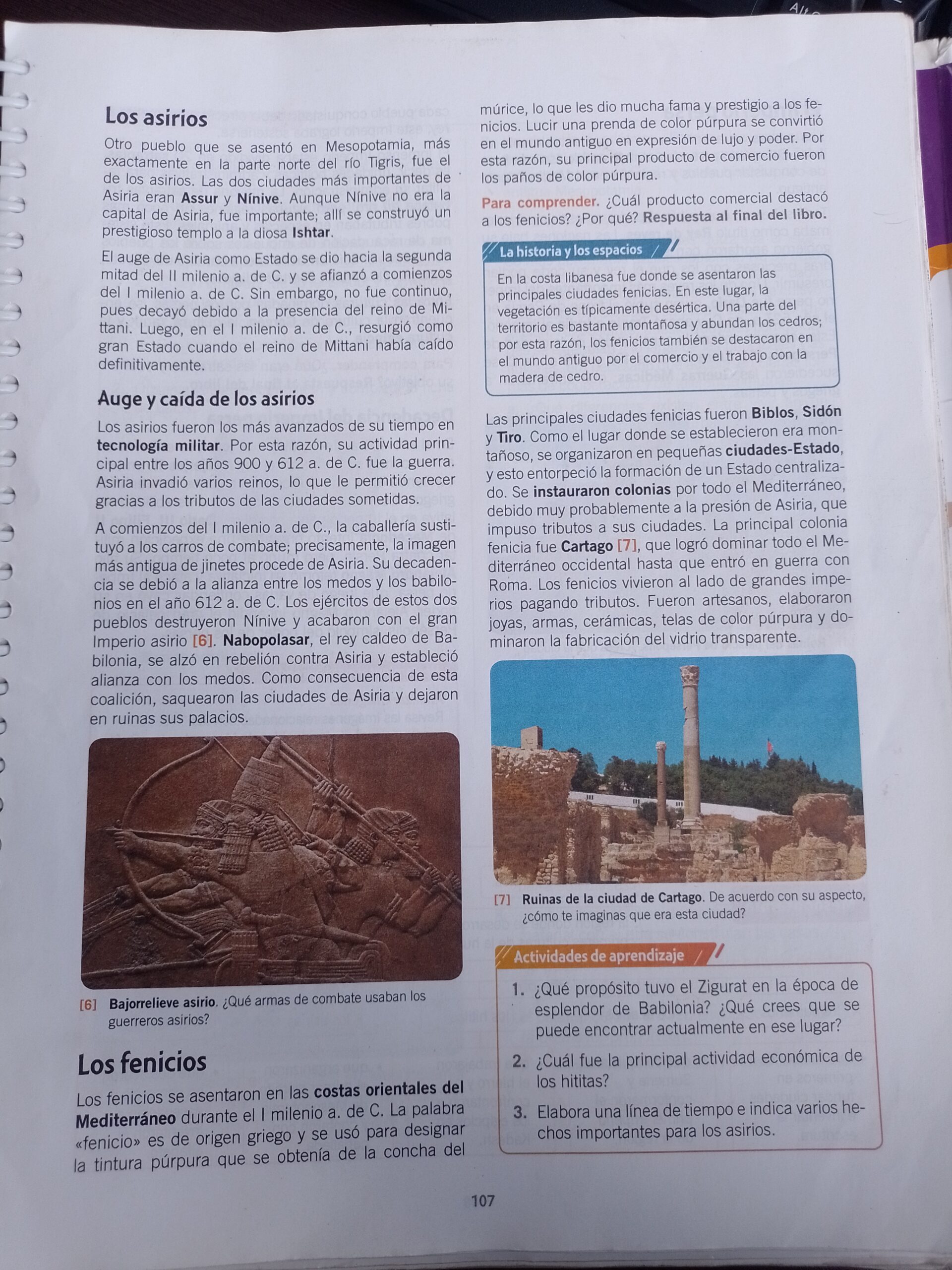 HISTORIA FENICIOS.
